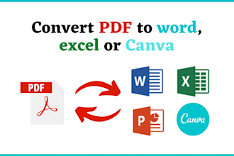 convert PDF to word, data entry jobs,excel or canva