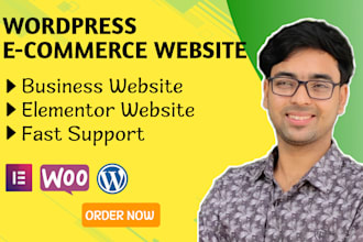 provide wordpress ecommerce redesign and elementor clone services