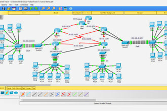 help with cisco gns3 and packet tracer labs and troubleshooting