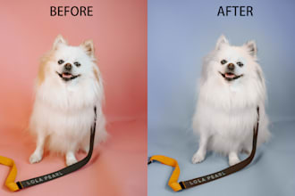 change color anything of your images  in photoshop