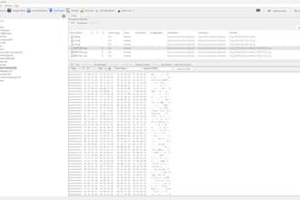 do digital forensics and any cyber security project