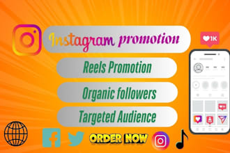 do instagram facebook reels organic promotion