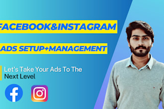 set up facebook and instagram ads that drive sales and leads