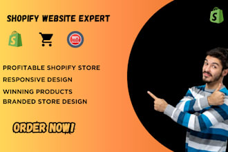 build a passive income shopify dropshipping store or shopify website