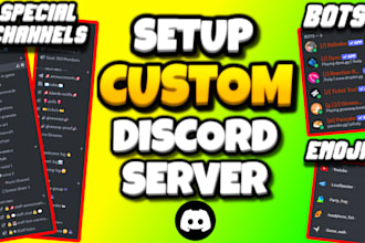 make you a professional discord server