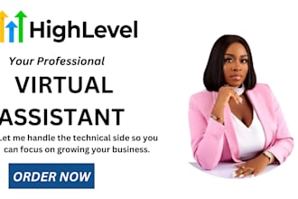 be gohighlevel virtual assistant ghl automation expert, email workflow
