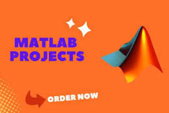 deliver image and signal processing using matlab and python