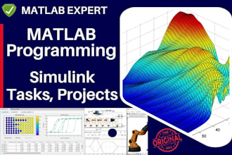 do matlab programming and matlab simulink projects