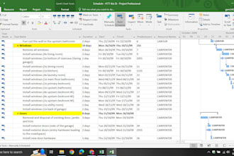 prepare schedule on primavera p6 or ms project