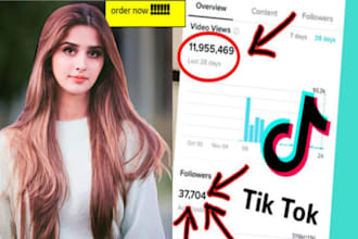 organically grow and promote your tik tok account