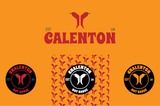 do an abstract or pictorial logo with full brand guidelines