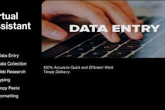 provide high quality data entry and virtual assistance services