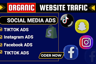 do shopify facebook ads, instagram ads, tiktok ads to promote ecommerce website