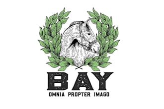 design formal cinematography company logo
