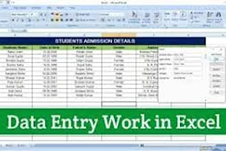 do accurate data entry, web research, copy paste and excel data entry jobs