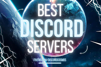set up a professional discord server for your community