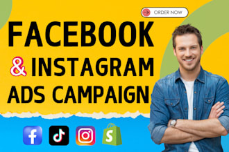 setup facebook and instagram ads campaigns, shopify expert