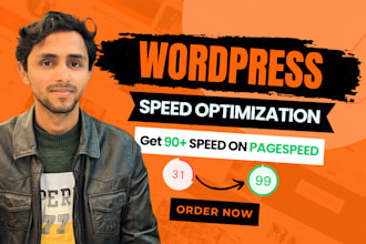 perform wordpress optimization to boost pagespeed