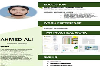 design a professional, modern, and eyecatching resume