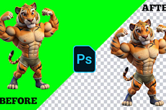 transparent, white background or bulk images and crop images