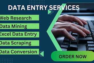 do data entry, PDF conversion, copy paste, and lead generation