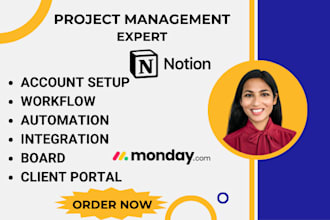 setup notion workspace dashboard VA notion template monday crm expert