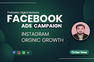 do your digital social media marketing, fb meta ads, instagram organic growth
