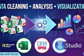 clean, analyze, and visualize data in excel, spss, or r studio
