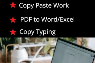 do fast data entry typing work job, excel data entry, web research, PDF