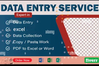 do data entry expert,ms office typist