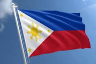 translate your text from english to tagalog