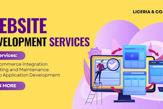 do website vulnerability test, security audit and penetration testing