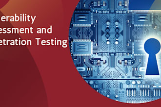 network security, vulnerability assessment, and penetration testing
