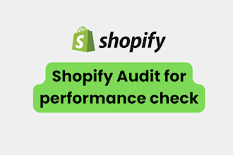 shopify audit store performance