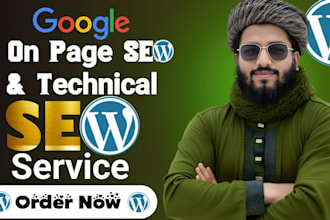 do onpage SEO and technical optimization for your website