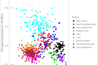 perform data analysis majorly for researchers and companies