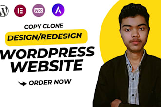 design, redesign, copy, clone, any wordpress website