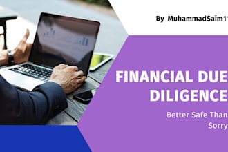 conduct financial due diligence and web research