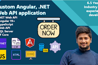 develop custom angular, dot net api, sql web application