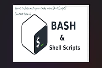 write bash script, shell script within a day
