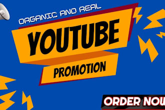 do super fast organic USA youtube channel promotion