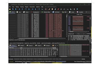 be your  professional  malware  analysis expert