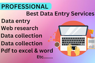 do data entry data collection data insert for your project