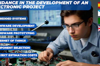 expert electronic advice for your project development