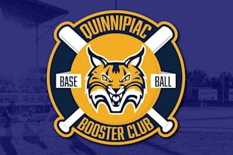 design a professional sports modern baseball club logo