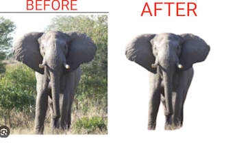 do photo cut out background removal deep etch product images and remove bg