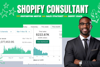 be your shopify sales coach and consultant dropshipping mentor sales strategist