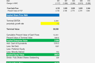 provide financial model, projections, lbo, irr, dcf and wacc