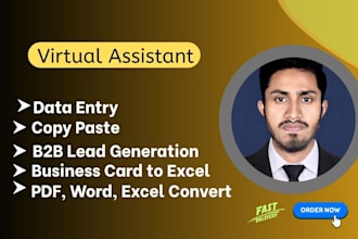 do data entry, file conversion, lead generation, copy paste