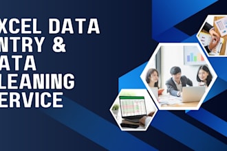 do excel data entry and data cleaning